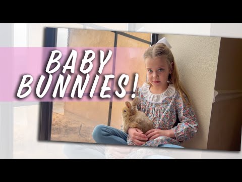 The Quints Play With Baby Bunnies! - Should We Get One?