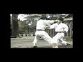 Энпи Бункай Enpi Bunkai