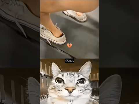 Wait for twist 👉☠️ #cat #meme #dance