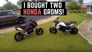 I Bought 2 Honda Groms Used on Craigslist  2015 vs