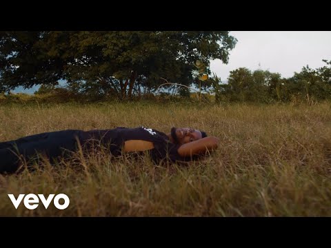 WAI FUZION, Ireland Boss - Run | Official Music Video