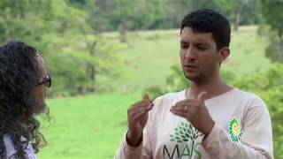 Agrofloresta | 05.Dez.2017 | Conexão Ambiental