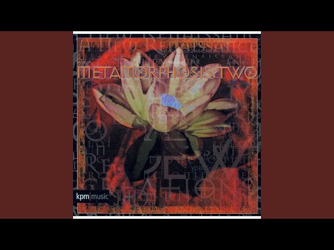 21st Century Renaissance