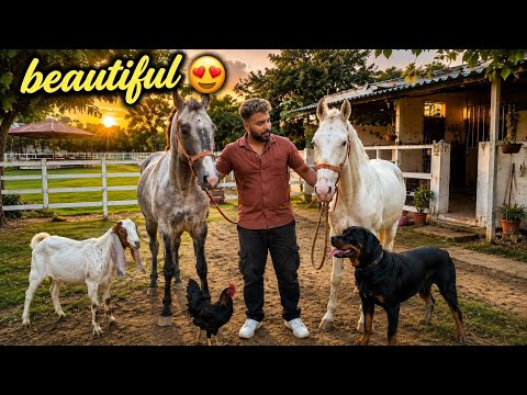 Socha Nahi Tha is Beautiful Farm Pr Itne Saare Animals Honge Lekin Ye Neela Baccha Pasand Aajayega 😍