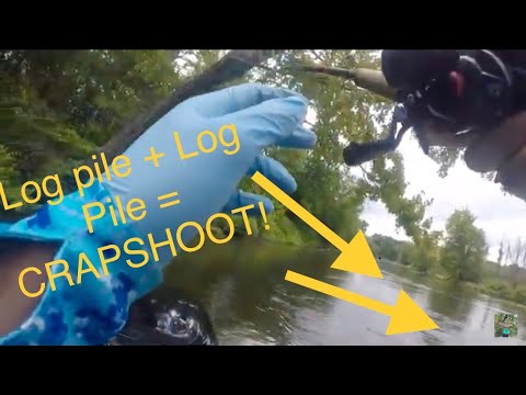 Michigan Salmon - Bobber Downs & Big Fish