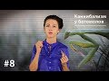 Каннибализм у богомолов: плата за секс или за бессмертие? // Все как у зверей #8 Каннибализм у богомолов: плата за секс или за бессмертие? // Все как у зверей #8
