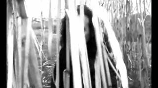 ARANJUEZ  LA TUA VOCE eugenio amato