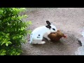 https://www.youtube.com/watch?v=XvtbncwY2OM