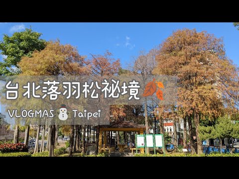 [VLOGMAS] Completamente popular Falling Pine Park | Parque Shilin Zicheng, cafetería ACME, Residencia oficial de Shilin, Parque Shuangxi