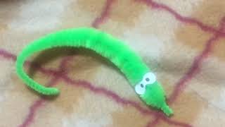 動物パーク 新メンバーの紹介！〔槌の子〕
