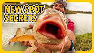 How to Catch Carp in NEW Lakes (Tips & Tricks)