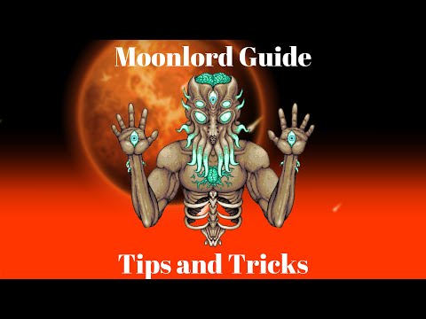 A Complete Guide To The Moon Lord Battle (Expert & Master)