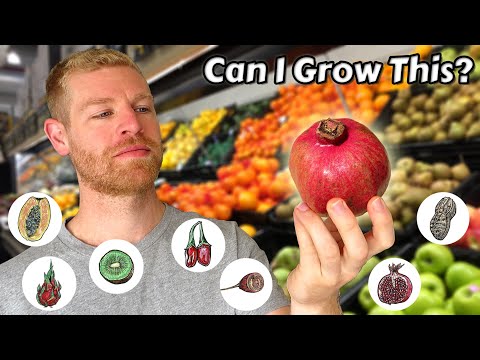 , title : 'I Grew Fruit Trees from Store Bought Fruits and this is what happened - Full Tutorial