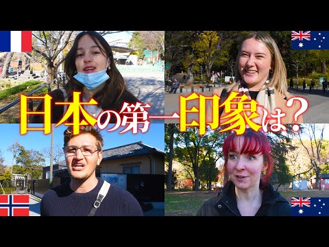 国際教養学科 日本の外国人観光客に日本の印象を聞いてみた！