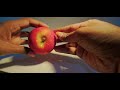 Apple Cutting ASMR Red Apple Fruit Cutting Sound Satisfying Sound Most Satisfying Video