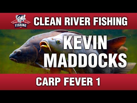 CRP145 KEVIN MADDOCKS - CARP FEVER 1