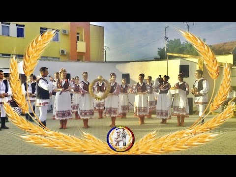 Ansamblul Folcloric Cununita - UVVG- Santana-Arad ~Hora Secerisului