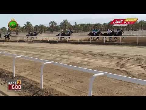 الشوط الثاني - السباق الأول- الرحبة 17/10/2019 Race 2-1st meeting