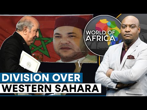 National Liberation Front (NLF)/Polisario video 1