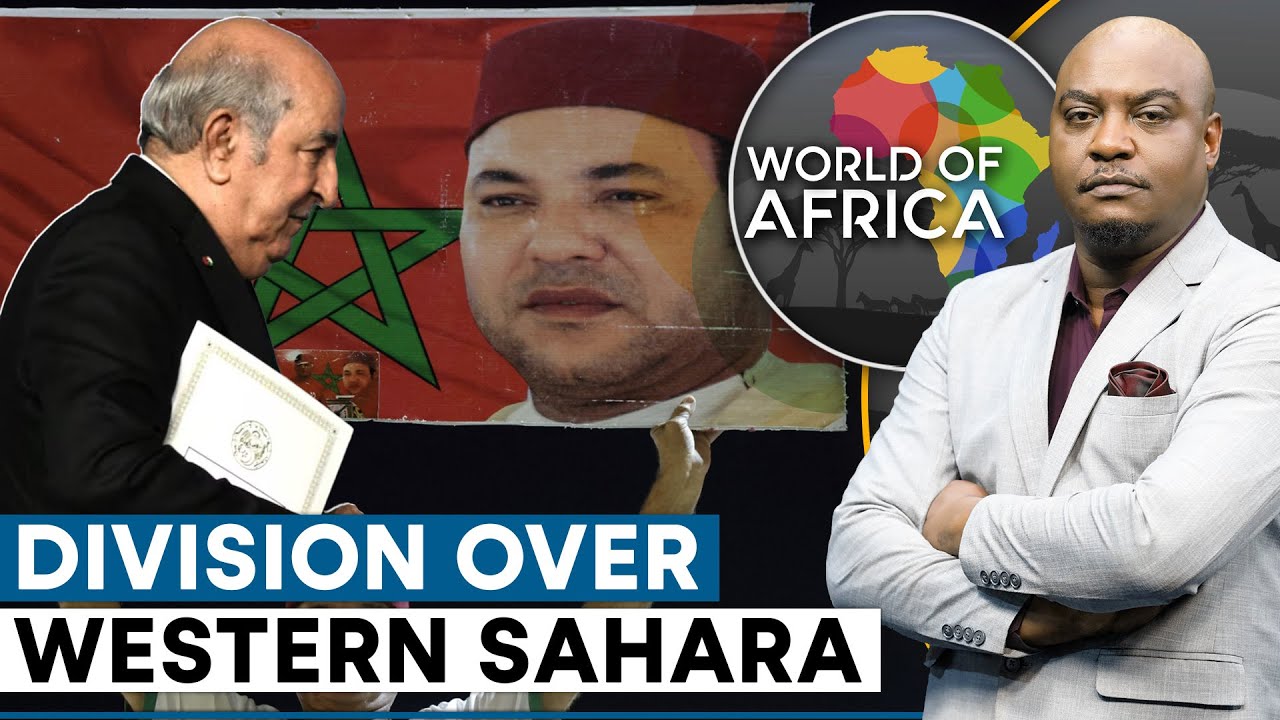 Polisario Front: Conflict, History, Movement, & Rebel Group | WION Sports