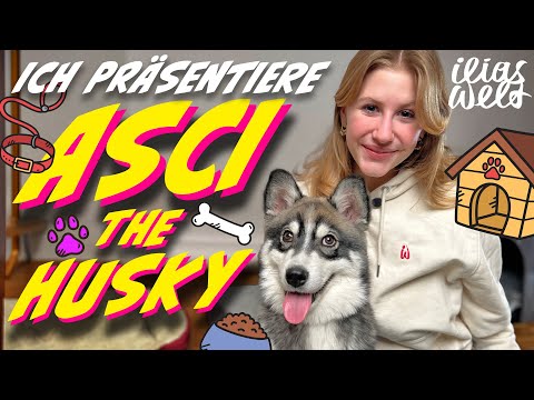 ILIAS WELT - Unser Husky!!!