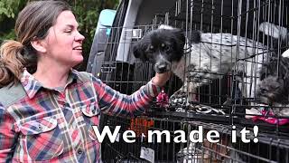 Rescue in the Time of Covid19