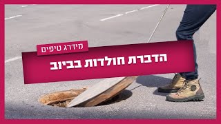 מסתובבות בביוב וככה נכנסות לבית? ככה מדבירים חולדות בביוב