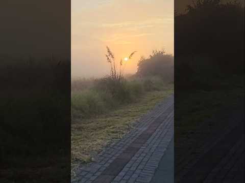 🚴 Caminho Trentino - Piraquara PR.