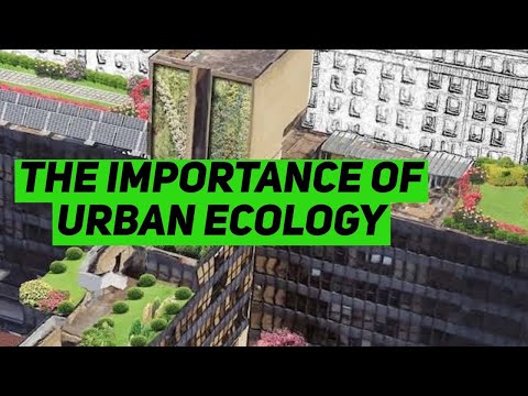 Episode 29- Blanche Cameron ( The Bartlett School of Architecture, UCL)