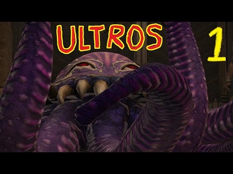 FF-14 Hildibrand Quest #1:  8 Armed and Dangerous