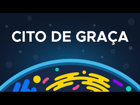 Cito de graça | Paródia "Nem de Graça" -  Pixote