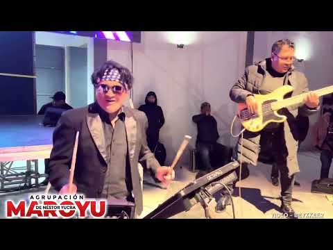 lunita dame platita  maruyo  original