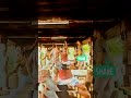 Jailer Jailer Villain Bgm Vinayagam Jailer Bgm