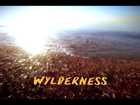 download lagu mp3 mp4 Wylderness, download lagu Wylderness gratis, unduh video klip Wylderness