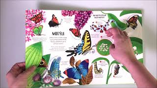 Kuk pod okénko - Brouci a motýli 