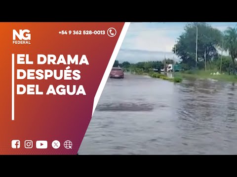 🌧️INUNDACIONES | El drama después del agua también en Chaco 
