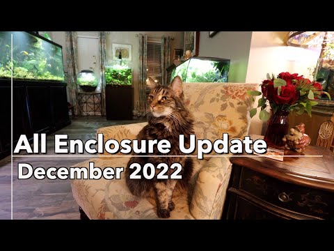 All Aquarium Update Dec 2022