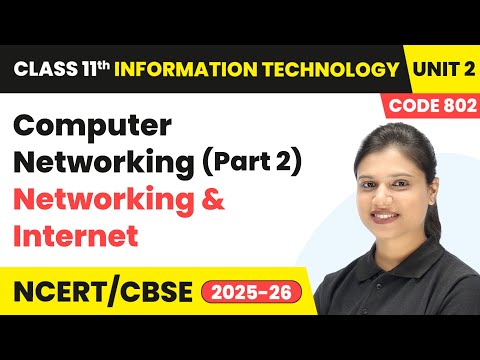 Class 11 Information Technology Book Overview Course Code 802