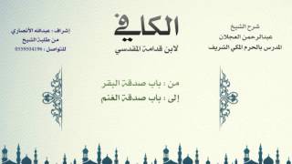 الكافي لابن قدامة المقدسي | شرح الشيخ عبدالرحمن العجلان | 95- باب صدقة البقر وباب صدقة الغنم 1 image