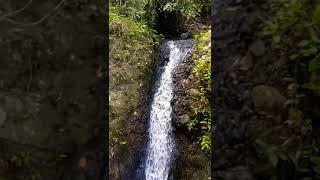 Download lagu curug panglima hutan sancang garut jawa barat mp3 Download lagu curug panglima hutan sancang garut jawa barat mp3