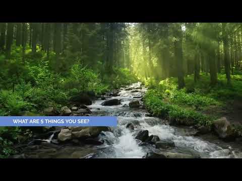 Practicing Mindfulness