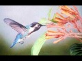 Cocoon Hummingbird Lyrics 