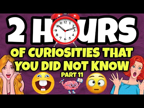 2 HOURS OF CURIOSITIES AND THINGS YOU DIDN’T KNOW 🧠⏰ #11 