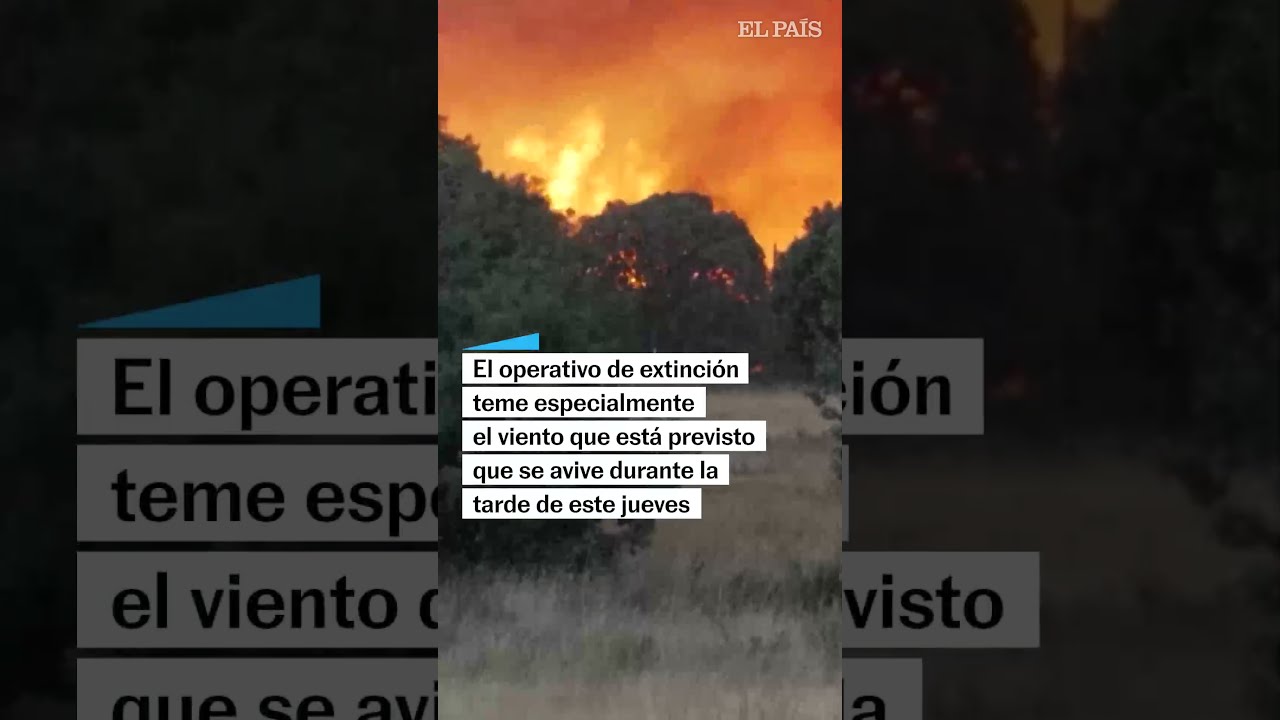 El incendio de Zamora está descontrolado y obliga a desalojar 14 localidades #shorts