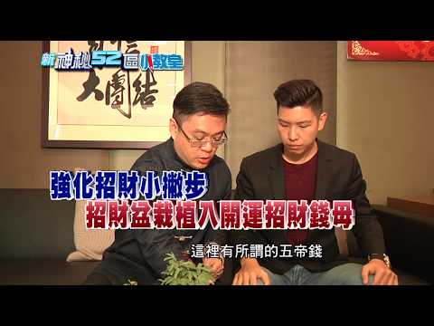 豬擺飾風水
