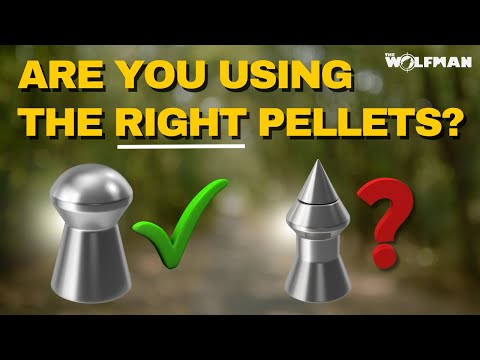 Are You Using the Right Pellets? (Everything You Need to Know)