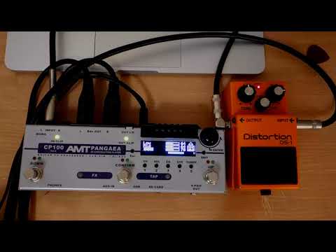 BOSS DS-1 & Pangaea CP100FX-S