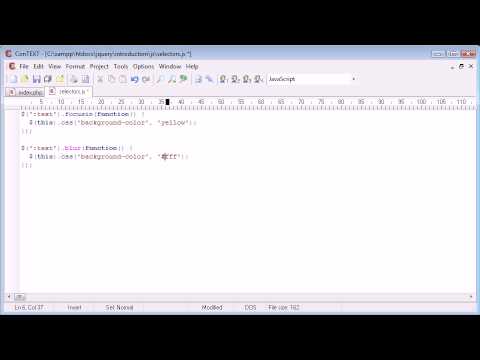 jQuery Tutorial 16 Text selector