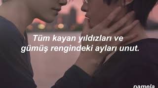 Troye Sivan - for him. (Türkçe Çeviri)
