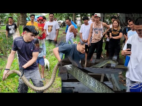 KING COBRA SA VILLAGE 